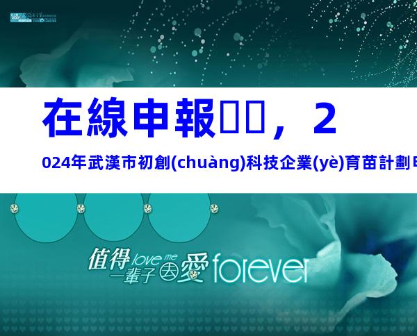 在線申報，2024年武漢市初創(chuàng)科技企業(yè)育苗計劃申報要求、對象